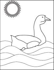 Coloring Book Page - A Drawing of a Duck in Water