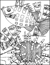 fish to color
