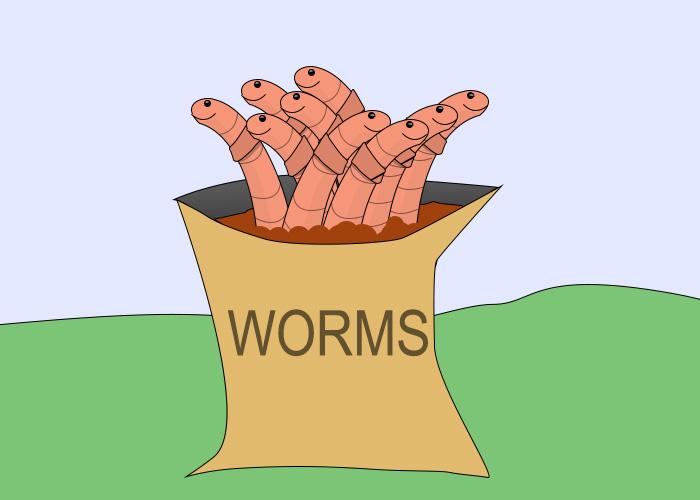 worms in a bag
