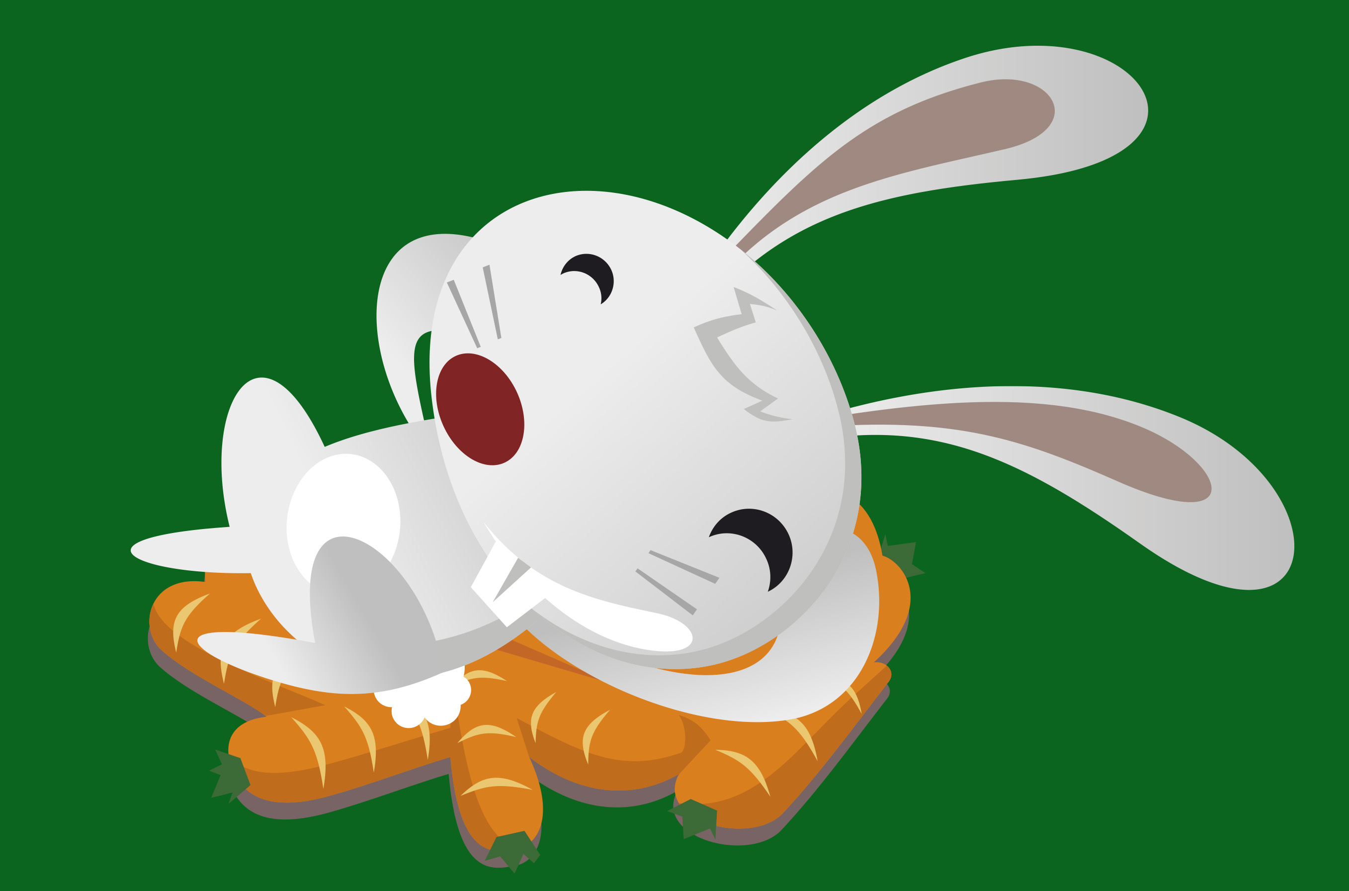 bunny