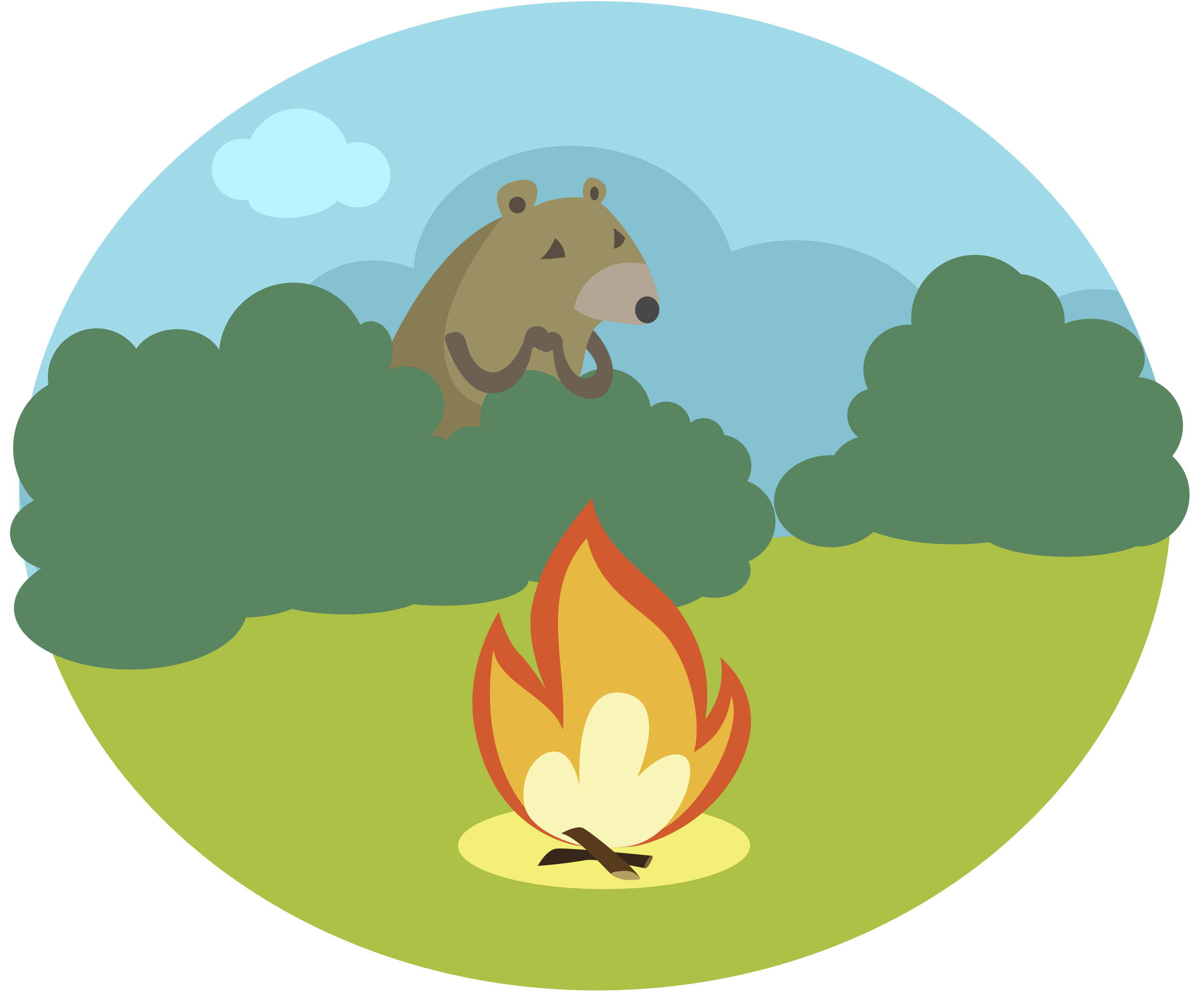 bear fire