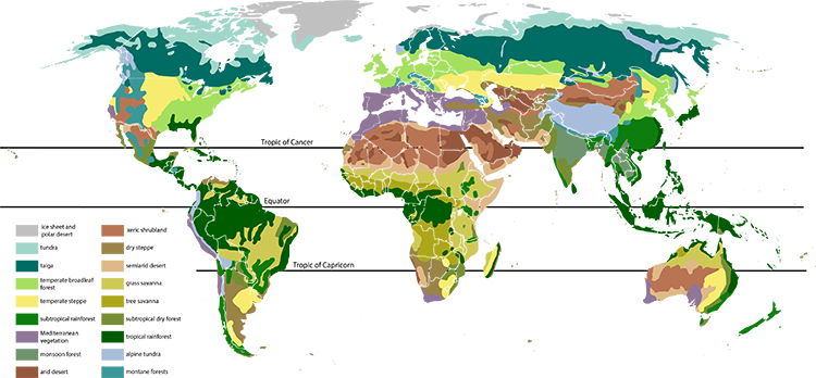 Main Biomes of the World