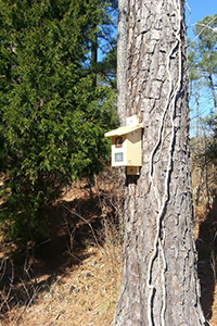 Bluebird box