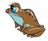 Brown Frog