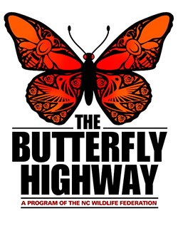 Butterfly Highway