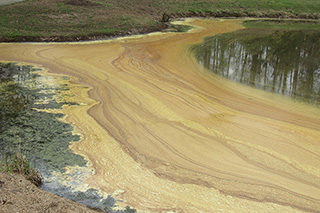 The lake shoreline serves as part of a frame to keep the picture from being amorphous.