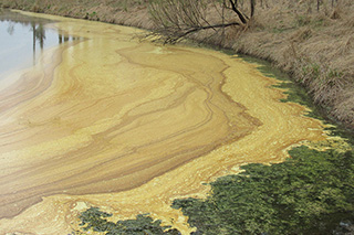 Shades of yellow and brown are deposited by wind action.