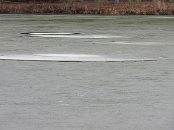 A few ice circles remain as the water warms