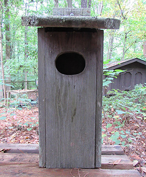 An aging duck box