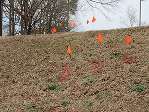 Orange flags at NIEHS