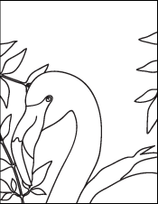 Coloring Book Page - A Drawing of a Flamenco with Plants Behind It