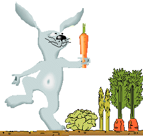 Rufus dances among the carrots!