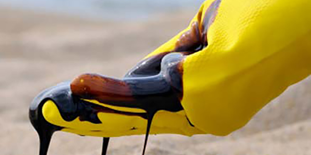 Gulf Oil Spill | Kids Environment Kids Health