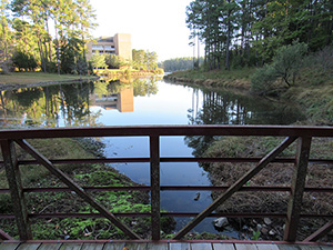 Bridge overlooking Discovery Lake