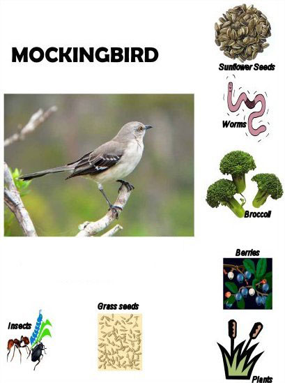 Mockingbird food match game