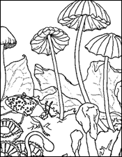 another mushroom coloring picture