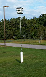 Purple Martin birdhouse