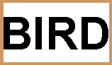 b i r d typed in large font