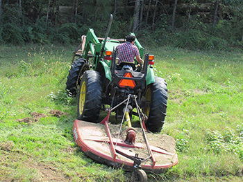 Cutting vegetation