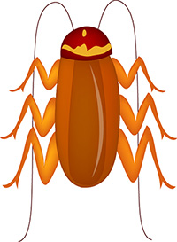 Cockroach