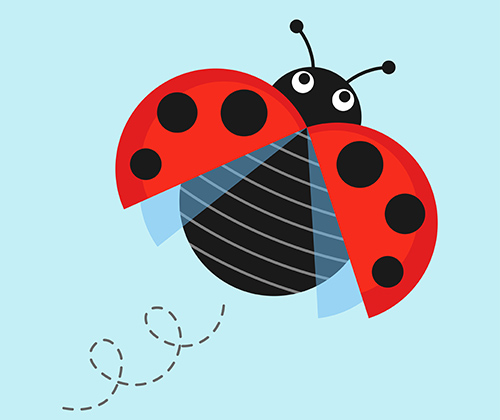 ladybug flies to new heights to catch a current