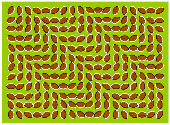 optical illusions gif for kids