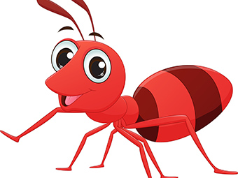 cartoon ant