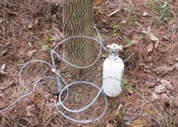 Injection points in a tree