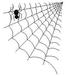 spider running around web