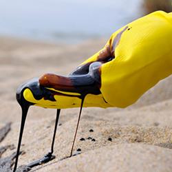 A volunteer in protective gloves examines the residue of oil on their fingers which they have collected from the ocean.