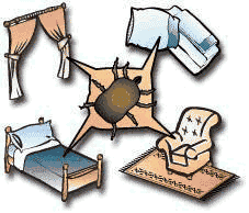 beds, pillows, curtains, and furniture hide dust mites