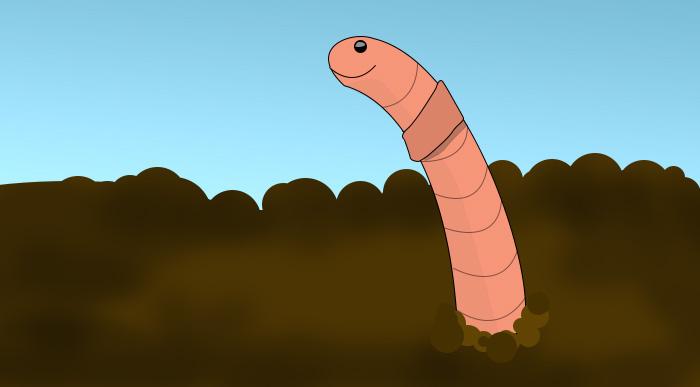 earth worm